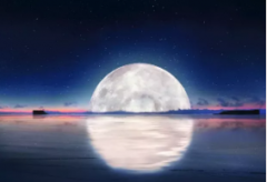 中秋煥新家，教你打造儀式感家居