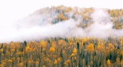 【謹(jǐn)記】安全隱患！秋季裝修需謹(jǐn)慎?。?！